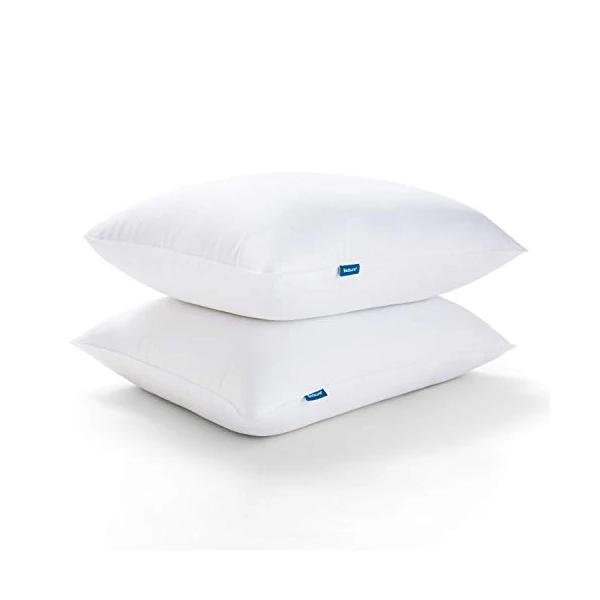 Set of 2 Queen Size Bedsure Pillows