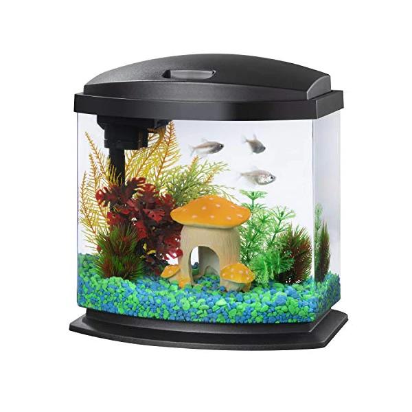 Aqueon 2.5-Gallon LED MiniBow SmartClean Aquarium Kit